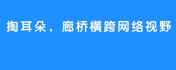 掏耳朵，廊桥横跨网络视野