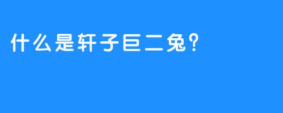 什么是轩子巨二兔？