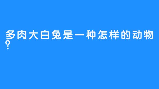 多肉大白兔是一种怎样的动物？