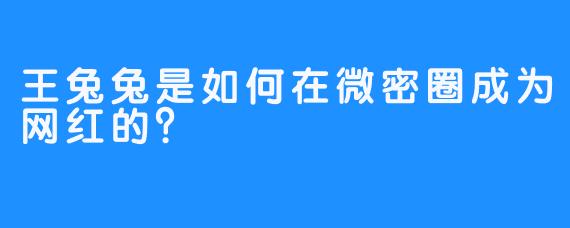 王兔兔是如何在微密圈成为网红的？