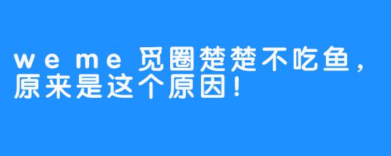 weme觅圈楚楚不吃鱼，原来是这个原因！