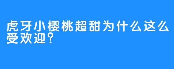 虎牙小樱桃超甜为什么这么受欢迎？