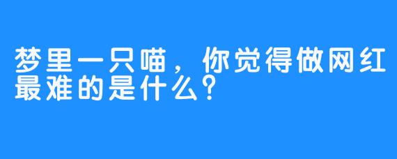 梦里一只喵，你觉得做网红最难的是什么？