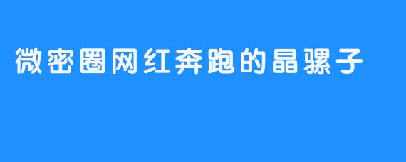 微密圈网红奔跑的晶骡子