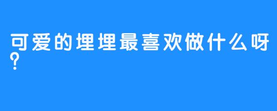 可爱的埋埋最喜欢做什么呀？
