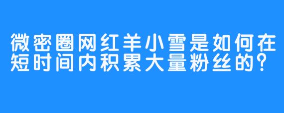 微密圈网红羊小雪是如何在短时间内积累大量粉丝的？