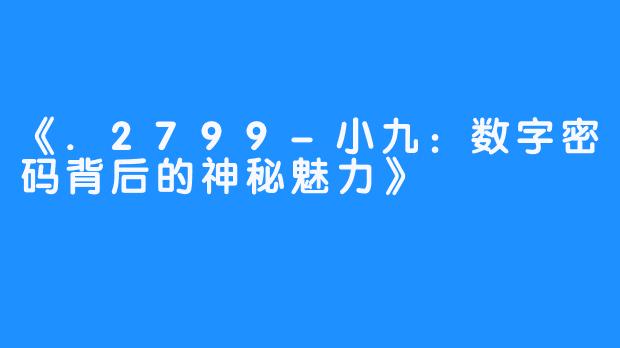 《.2799-小九:数字密码背后的神秘魅力》