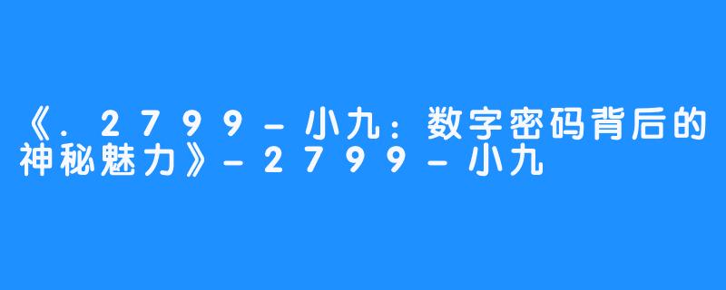 《.2799-小九:数字密码背后的神秘魅力》-2799-小九