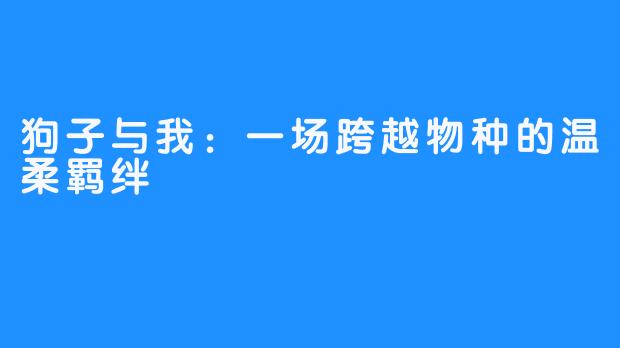 狗子与我：一场跨越物种的温柔羁绊