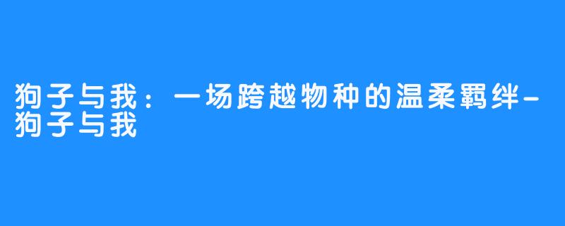 狗子与我：一场跨越物种的温柔羁绊-狗子与我
