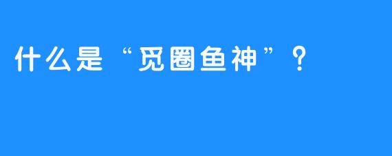什么是“觅圈鱼神”？