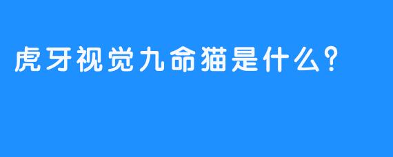虎牙视觉九命猫是什么?