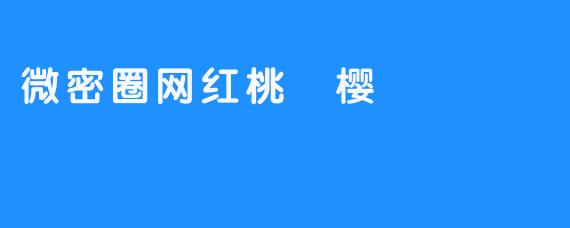 微密圈网红桃沢樱