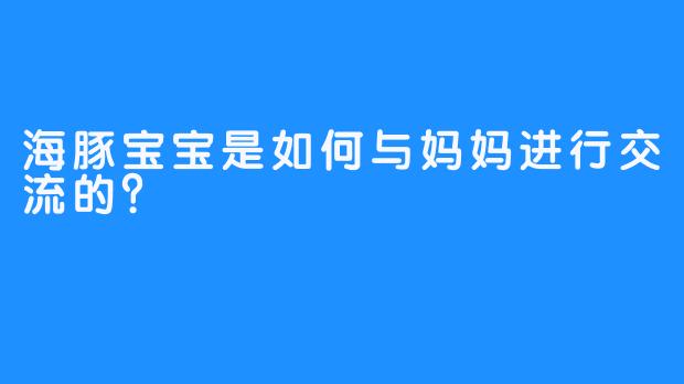 海豚宝宝是如何与妈妈进行交流的？