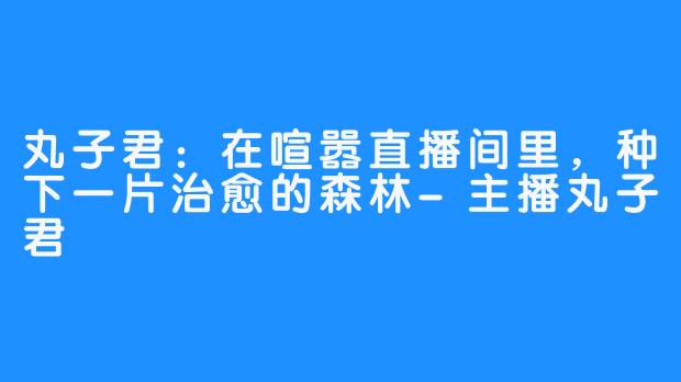 丸子君:在喧嚣直播间里,种下一片治愈的森林-主播丸子君