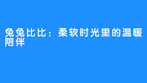 兔兔比比:柔软时光里的温暖陪伴