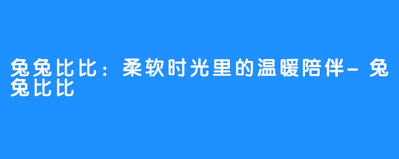 兔兔比比:柔软时光里的温暖陪伴-兔兔比比